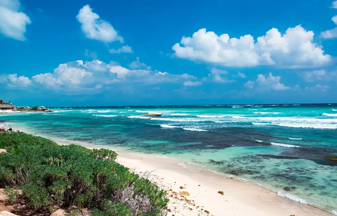 PUNTA ARRECIFES COZUMEL