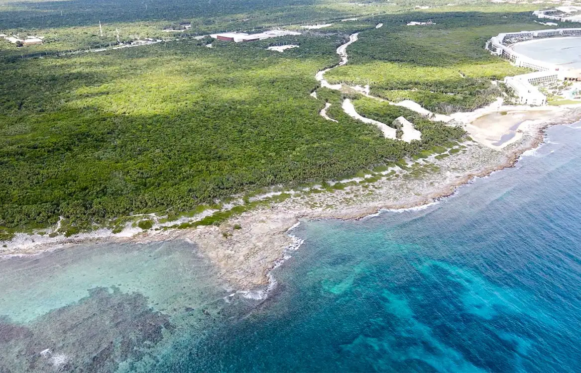 PUNTA CAREY