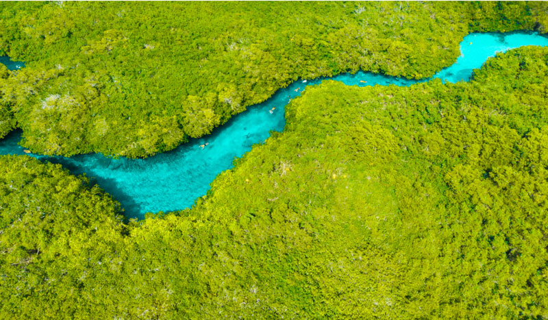  The Most Beautiful Cenotes in Tulum and Playa del Carmen