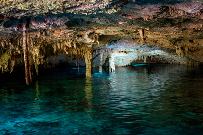  The Most Beautiful Cenotes in Tulum and Playa del Carmen