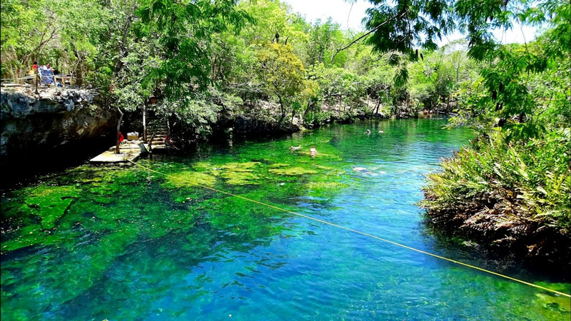  The Most Beautiful Cenotes in Tulum and Playa del Carmen