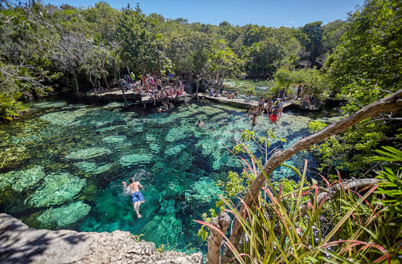  The Most Beautiful Cenotes in Tulum and Playa del Carmen