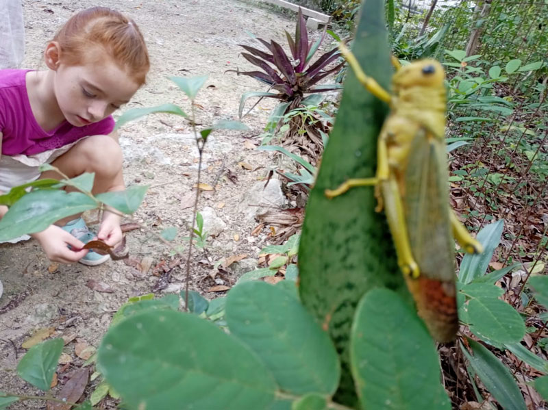 The Top Schools in Tulum for Your Children