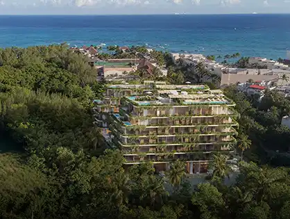 The Grove Playa del Carmen 